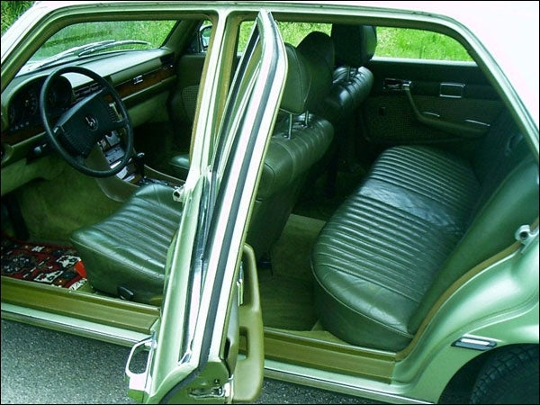 VLC-COLOR Leather & interior paint (150 ml) Mercedes Moss
